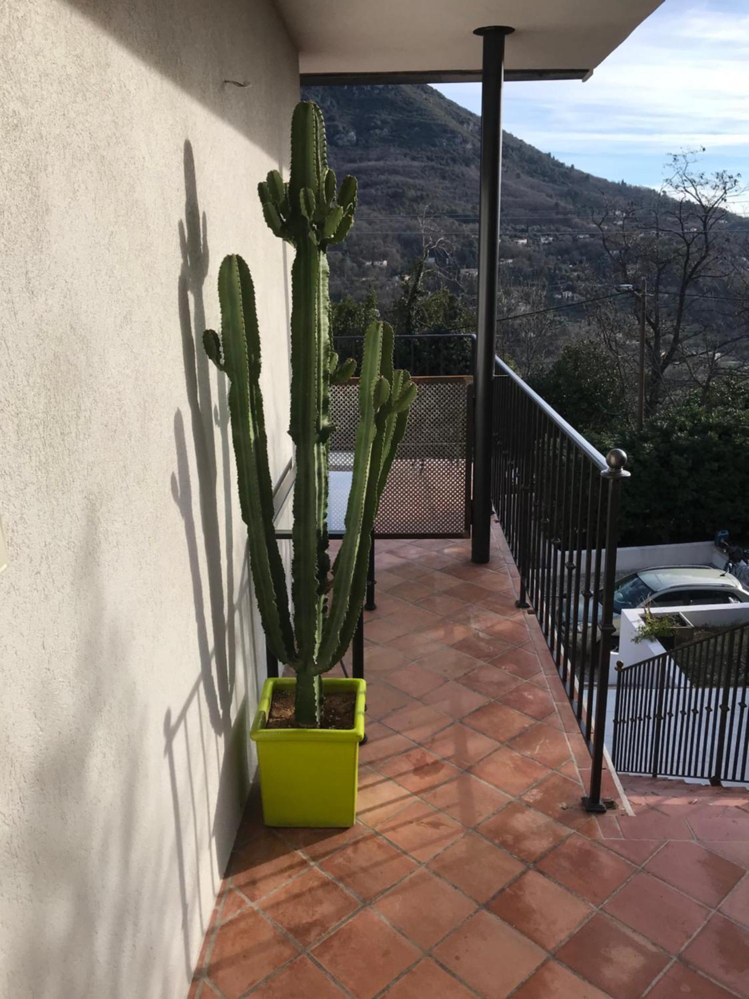 Haut De Villa Avec Vue - Le Bar Sur Loup 06 Kültér fotó