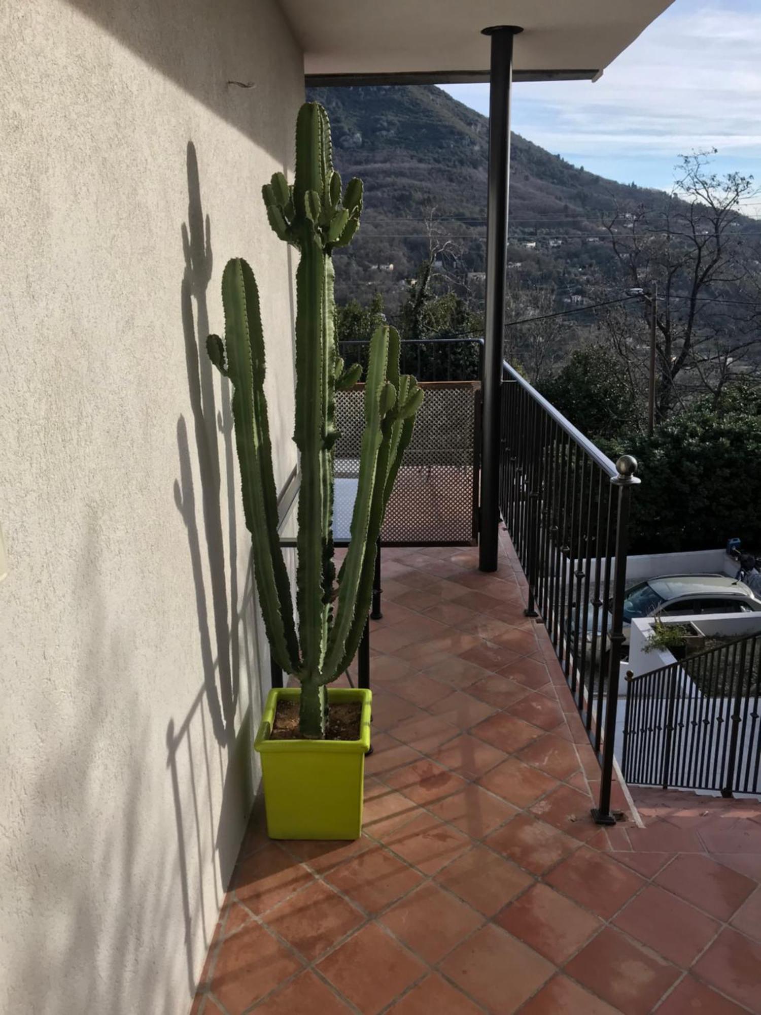 Haut De Villa Avec Vue - Le Bar Sur Loup 06 Kültér fotó